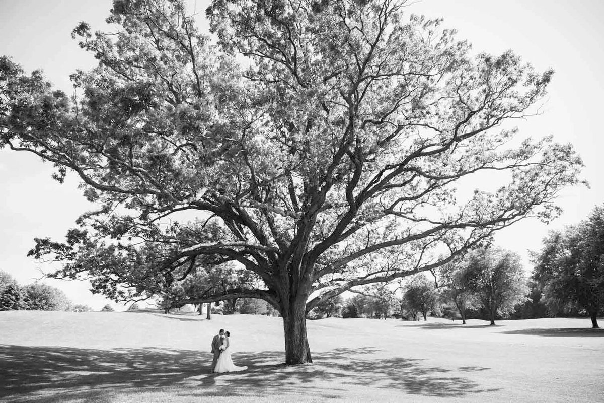 Paint Creek CC (@paintcreekcc) on Twitter photo Say "I do" at Paint Creek!!
We have a variety of dates still available in 2024, for all seasons. Please email Haley@paintcreekgolf.com for available dates and our 2024 wedding packet. Say "I do" at Paint Creek!!
We have a variety of dates still available in 2024, for all seasons. Please email Haley@paintcreekgolf.com for available dates and our 2024 wedding packet.