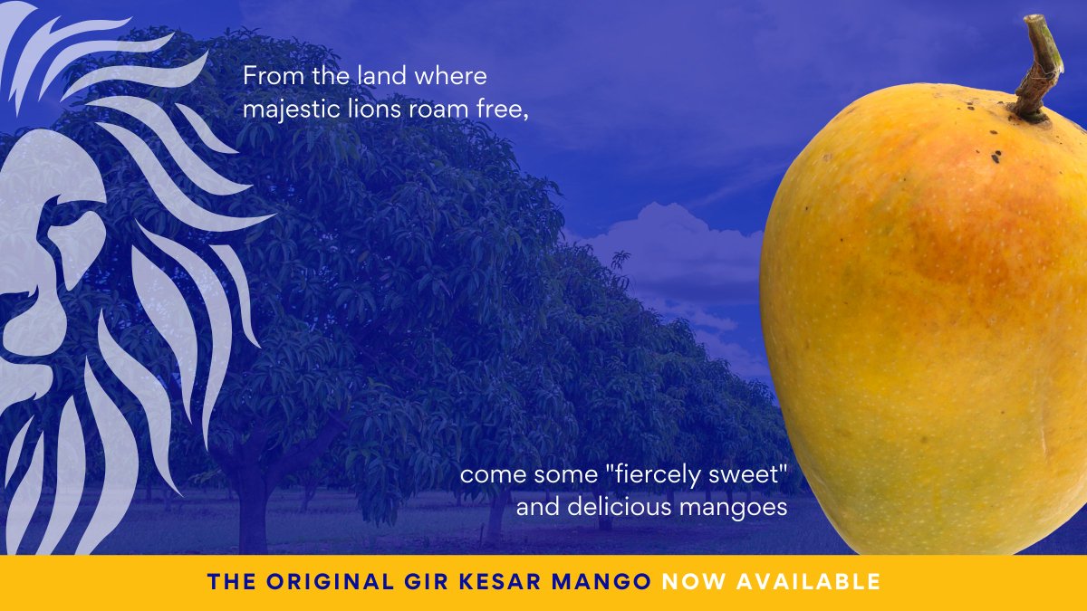 thisissuperplum's tweet photo. 𝗡𝗘𝗪 𝗔𝗥𝗥𝗜𝗩𝗔𝗟: Sink your teeth into the bright orange pulp of our Gir Kesar mangoes. Sweet, succulent, and oh so delicious!
Place your order on https://t.co/5Jjtm7Msjy for delivery in Delhi/NCR.
#girkesar #mangoseason #mangolover #mango #kesar #summerfruits https://t.co/1rWjqAsWfI