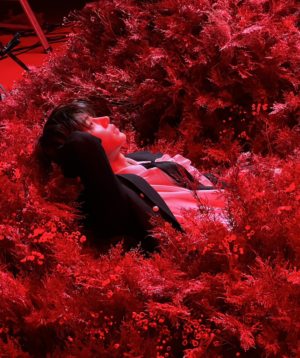 coldmemoris's tweet photo. 🌹🌹🌹 https://t.co/zOHsRUwHPJ
