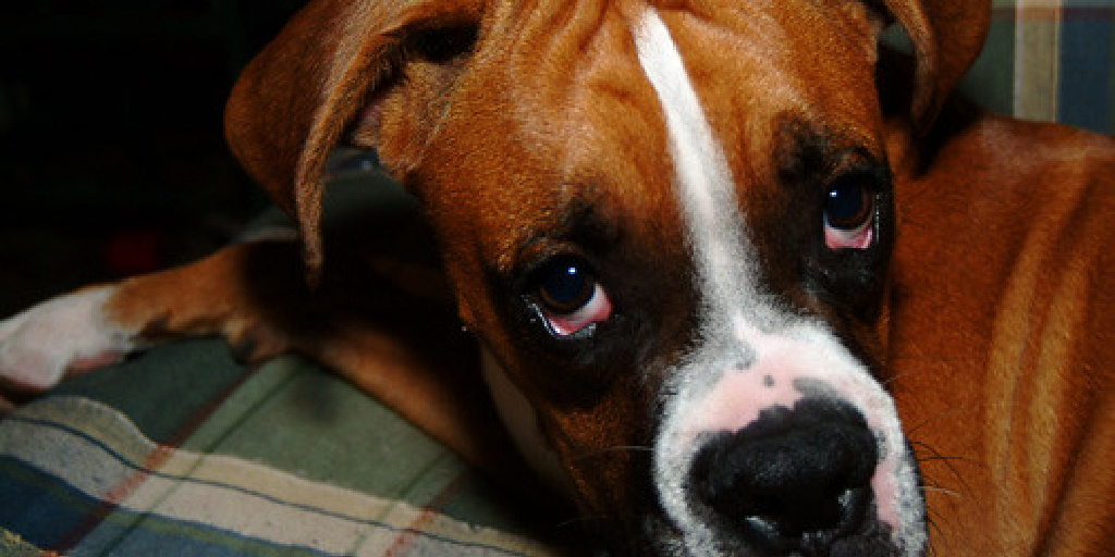 Don't be gloomy! <a href="/JestersComedyMN/">Jesters Comedy Improv</a> is back at Torg Thurs. May 25th.
eventbrite.com/e/635886532737
Or stop by the taproom, enjoy a pint, and reserve your seats. That should put a smile on your face!
 #liveimprov #twincitiesimprov #springlakeparkmn
#taproomcomedy #torgbrewery #mntaproom