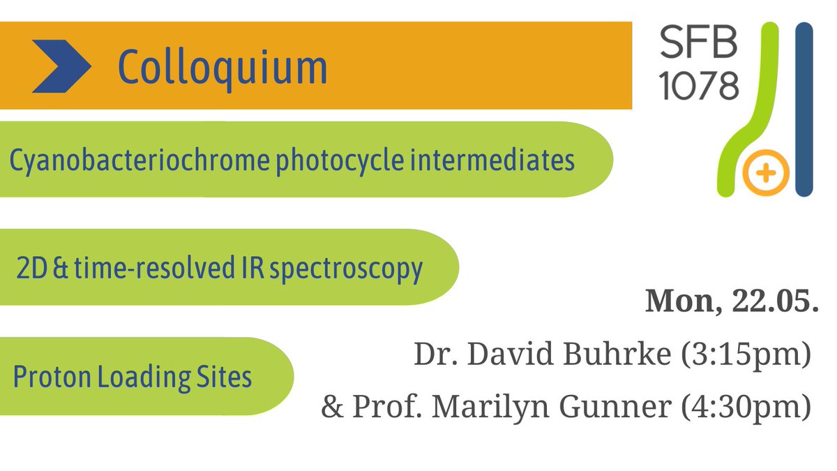 1078Sfb's tweet photo. Next colloquium, David Buhrke @BuhrkeLab presents studying the molecular details of #photoswitching in CBCRs using #IRspectroscopy.
After, Marilyn Gunner @CCNYPhysics discusses how amino acid clusters in #protonpumps facilitate #protontransfer. 😊
📆 22.05. | 3:15pm | SupraFAB https://t.co/NQMhq8Zuuf