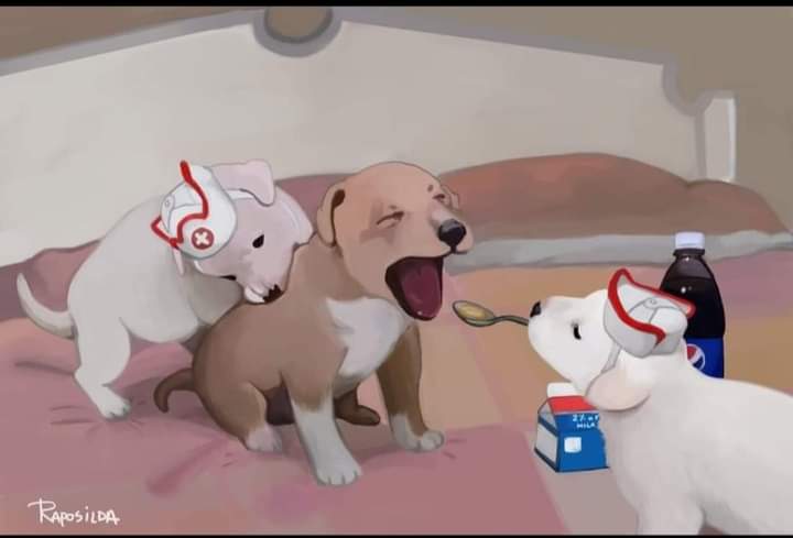 Descon593's tweet photo. Perrito tomando su medicina
#Simplementehermoso
_Creditos a su autor. #Raposilda https://t.co/ipOgeYIXcP