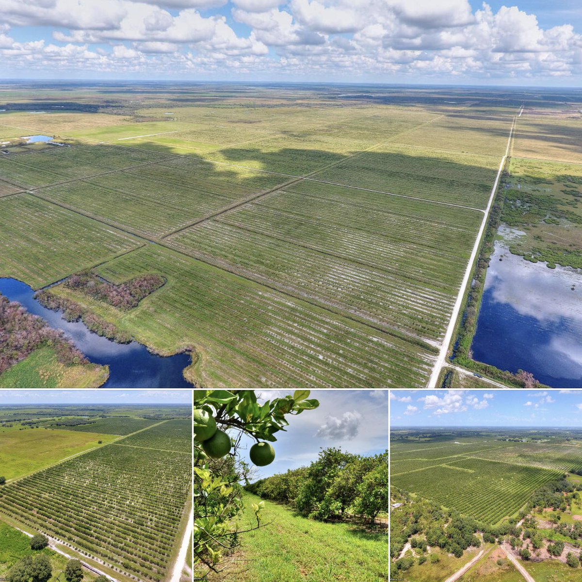 #Florida 
Florida Farmland - 6,345± Acres
Punta Gorda, FL

farmandranch.com/property/flori…

#farmandranch #propertyforsale #realestate #acreage #floridafarmland #floridalandforsale