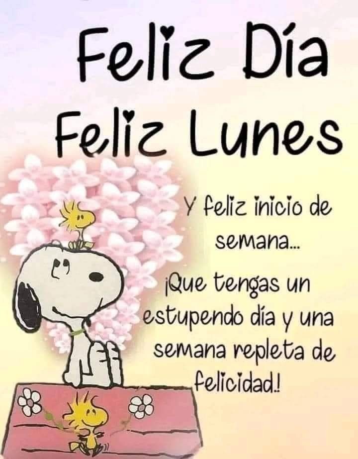 Que tengas un buen inicio de semana!
#FelizLunesATodos