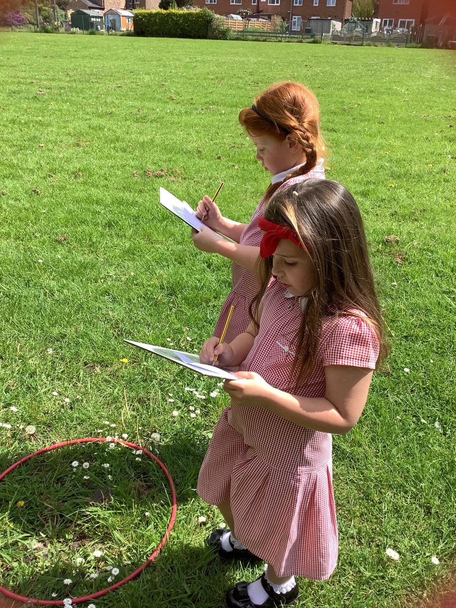 robwilkprimary's tweet photo. #rwpaY2 have enjoyed being scientists today. We predicted where daisies would grow best in our school grounds using our science knowledge and then tested to see if our predictions were right by measuring and tallying in different areas of school #rwpaScience #patternseeking https://t.co/hDZtO5Qj04