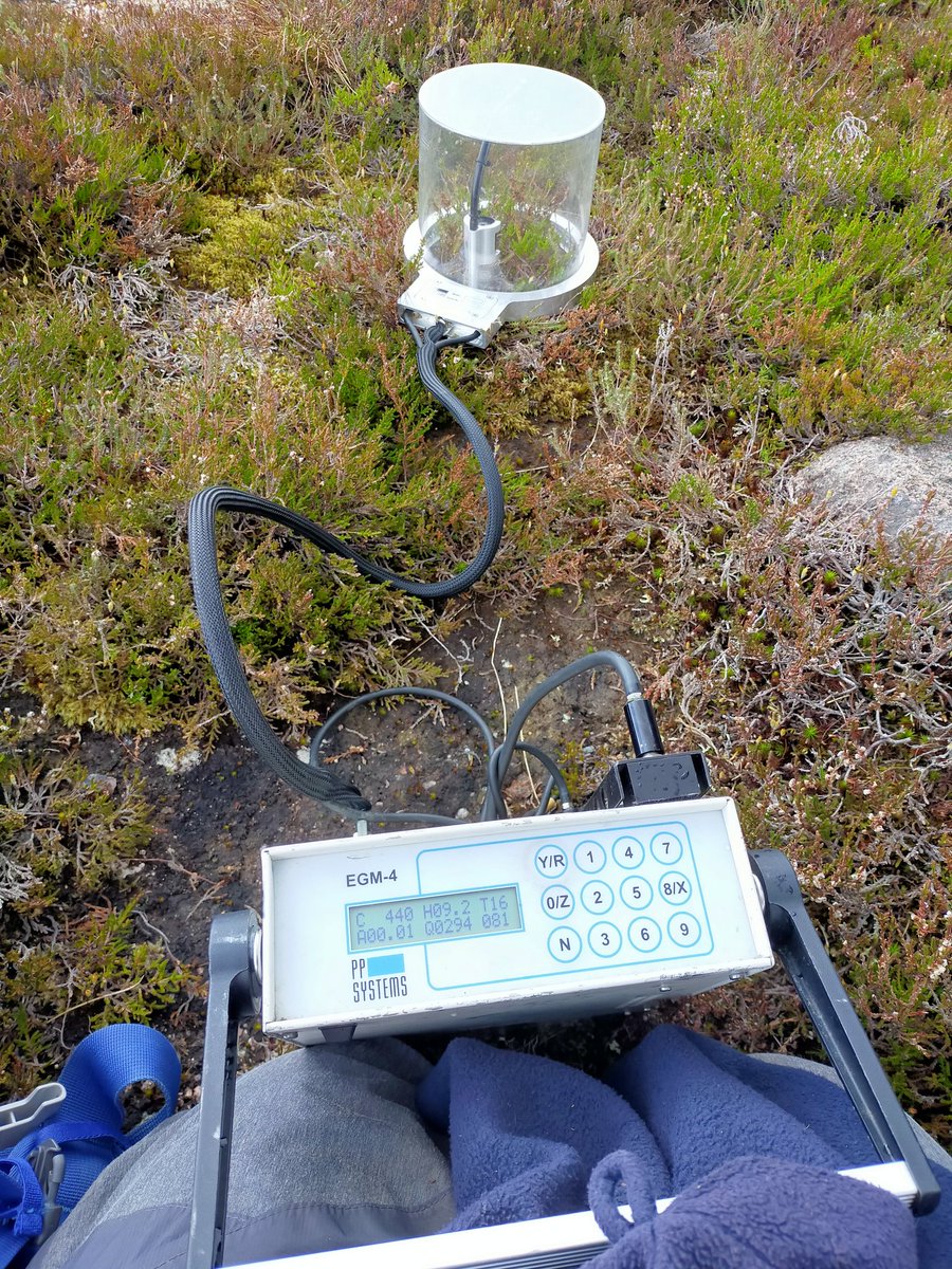 Karen Anderson tweet media