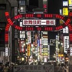 歌舞伎町のゴミ捨て場にネズミ異常発生。モルモットか子猫ぐらいデカい。