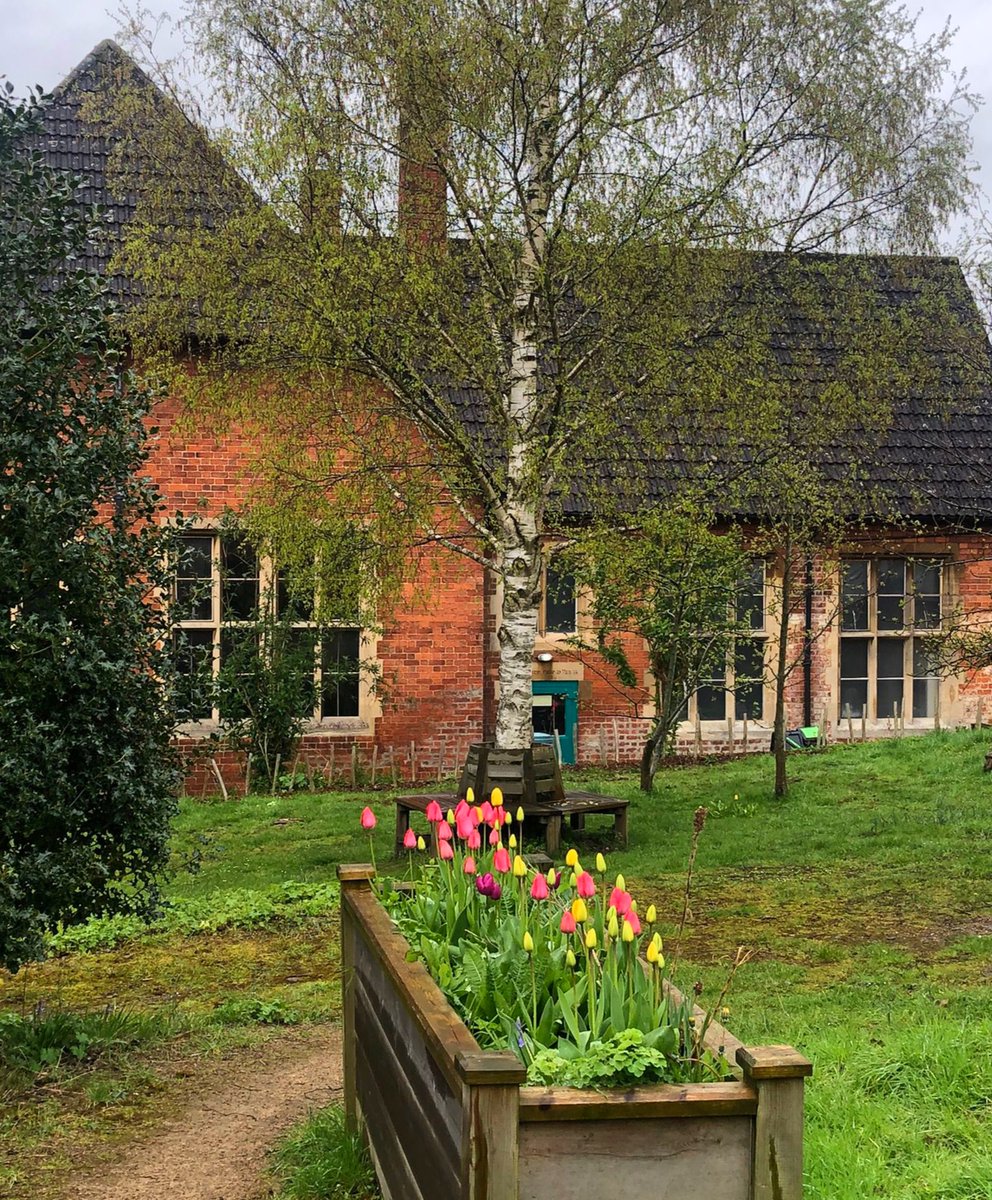 Stroud_TRCH's tweet image. Hello from the green space at our Trinity Rooms Community Hub 👋

What does your view look like today? 

#fromwhereistand #local #outdoors #photo #communal #garden #nailsworth #mindfulness #chalford #flowers #painswick #nature #urbanwildlife #gloucestershire
