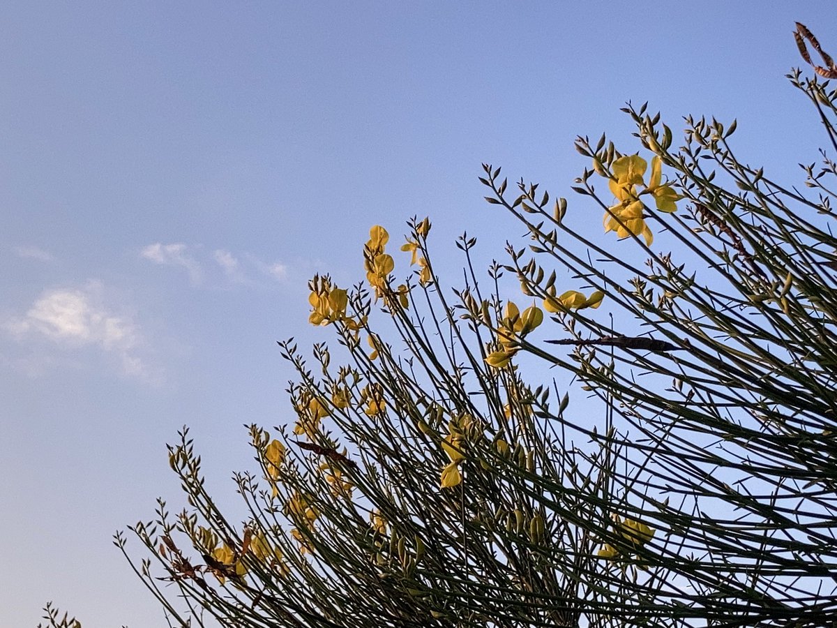 kaz6thlife's tweet image. #QuantumTheory と #Archaeology とは、両極端の世界認識のapproachだ、と思う。
量子論を突き詰めると無神論（真逆か?）、更に、因果関係が崩壊しかねない。究極のmicroとmacroとは、どうも相容れない世界だ。🤔でしょ⁉︎