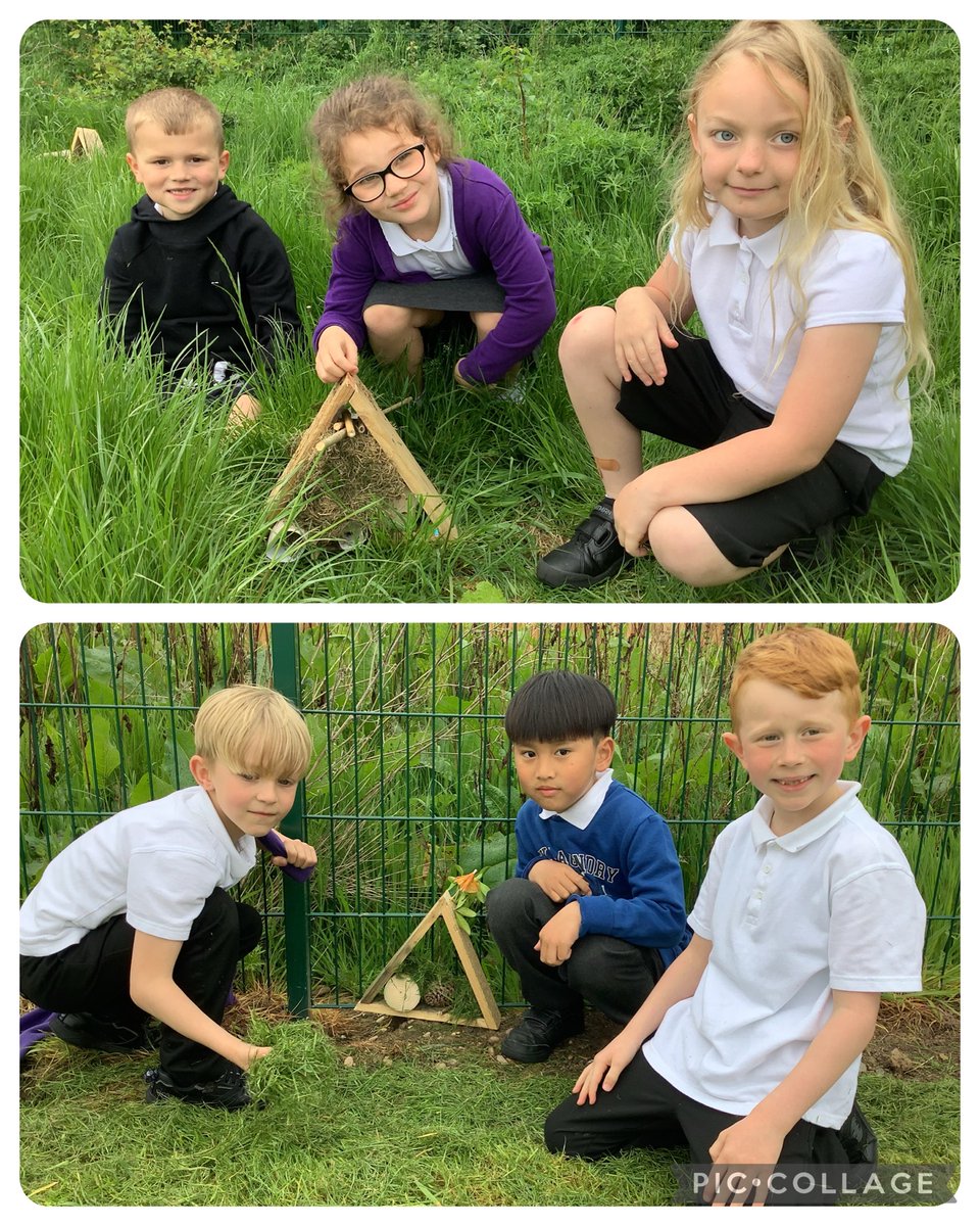 lowerfarmreach2's tweet photo. We've been making bug hotels and understanding all about micro habitats and who lives in them. We had lots of fun looking for the best position on the school grounds to put them in and hopefully when we check back, we'll have lots of visitors who love staying in their new homes. https://t.co/dfWn5n46RX