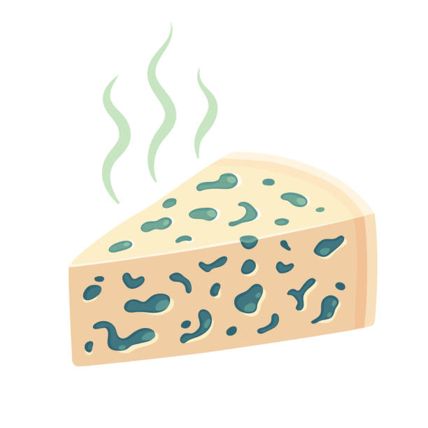 danking98174625's tweet photo. jingle bells your cheese smells @LukeMar21358372 https://t.co/CpYqsdspwl