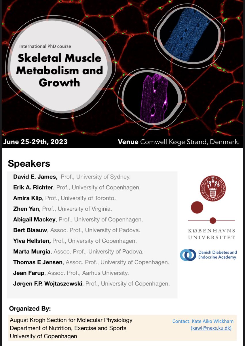 Molecular Physiology UCPH (@molecularucph) on Twitter photo There’s still time ⏰! Only a few spots left in our international PhD course held from June 25-29. Don’t miss out on this stellar lineup of speakers and awesome venue! 🤩
Register here: phdcourses.ku.dk/DetailKursus.a…
<a href="/NEXSKU/">Institut for Idræt og Ernæring</a> <a href="/MYOTWlTTER/">#myotwítter</a> There’s still time ⏰! Only a few spots left in our international PhD course held from June 25-29. Don’t miss out on this stellar lineup of speakers and awesome venue! 🤩
Register here: phdcourses.ku.dk/DetailKursus.a…
<a href="/NEXSKU/">Institut for Idræt og Ernæring</a> <a href="/MYOTWlTTER/">#myotwítter</a>