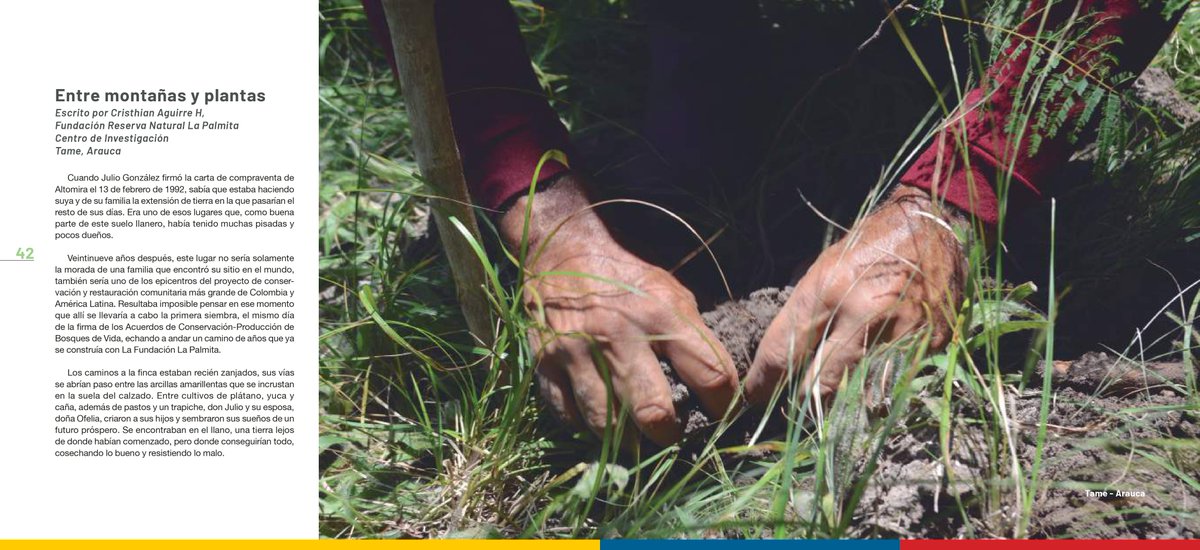 Col_Sostenible1's tweet photo. En #Tame #Arauca protegemos alrededor de🌳 1000 hectáreas con el proyecto #BosquesDeVida, una iniciativa que apoyamos con @fcolombiaenpaz y @el_BID. Conoce la historia de 🧑‍🌾Julio González uno de sus protagonistas en:👉 https://t.co/KYXt9BIoep
@MinAmbienteCo  @LaPalmita_Ci 🔆 https://t.co/OnKdg1uRn1