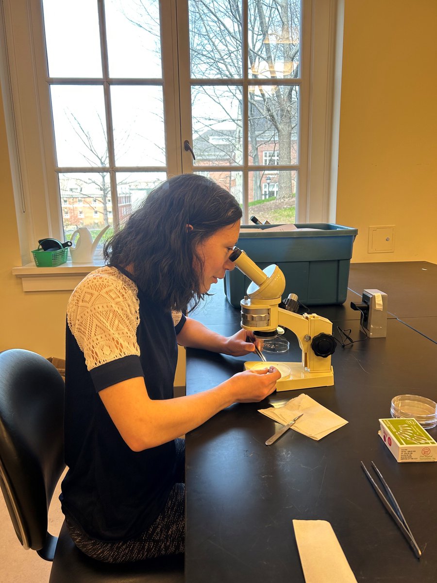 K.C. Irving Centre (@irvingcentre) on Twitter photo Somatic embryogenesis of Balsam Fir as part of a project in association with the Christmas Tree Council of Nova Scotia at the K.C. Irving Environmental Science Centre.
<a href="/IrvingCentre/">K.C. Irving Centre</a>
<a href="/AcadiaICE/">Acadia Office of Industry and Community Engagement</a>
<a href="/iloverealtrees/">Christmas Tree Council of Nova Scotia</a> Somatic embryogenesis of Balsam Fir as part of a project in association with the Christmas Tree Council of Nova Scotia at the K.C. Irving Environmental Science Centre.
<a href="/IrvingCentre/">K.C. Irving Centre</a>
<a href="/AcadiaICE/">Acadia Office of Industry and Community Engagement</a>
<a href="/iloverealtrees/">Christmas Tree Council of Nova Scotia</a>