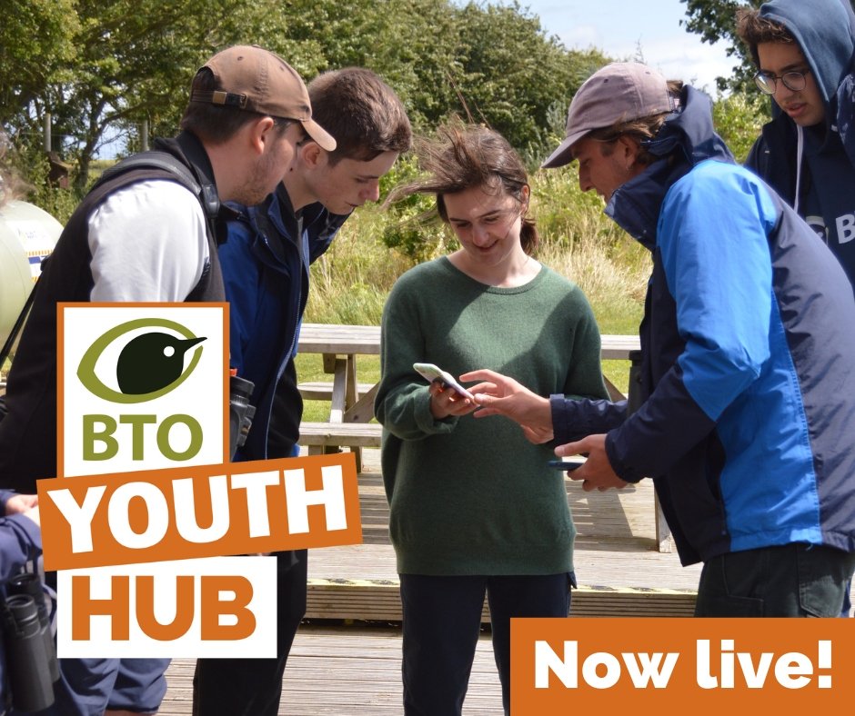 The @_BTO Youth Hub is here! Live on the website, all things #BTOYouth are now in one place 😁