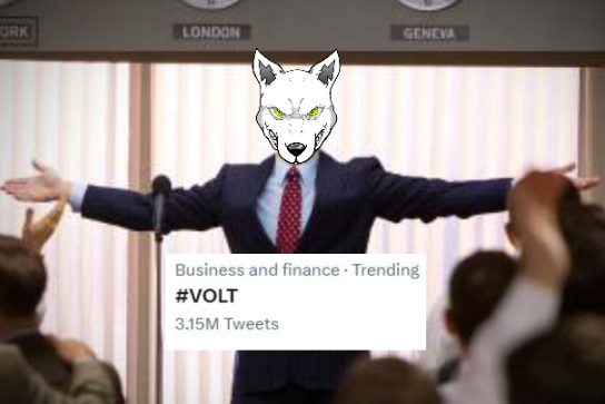 Volt Inu ⚡️ tweet media