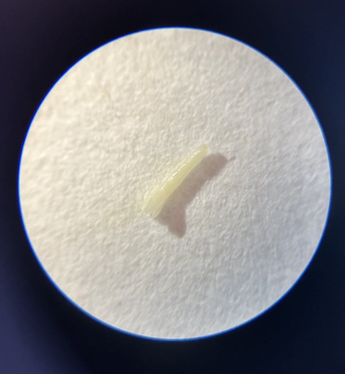 K.C. Irving Centre tweet media