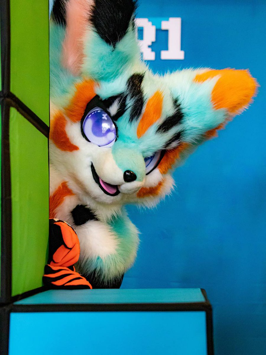 DustyFox626's tweet photo. Got to attend furdu on Saturday and Sunday, had so much fun seeing friends I haven't seen since last year 

📷 @ChipsOtter https://t.co/2V2PZLV0R8