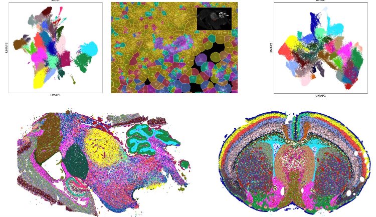 Gregory Lab tweet media