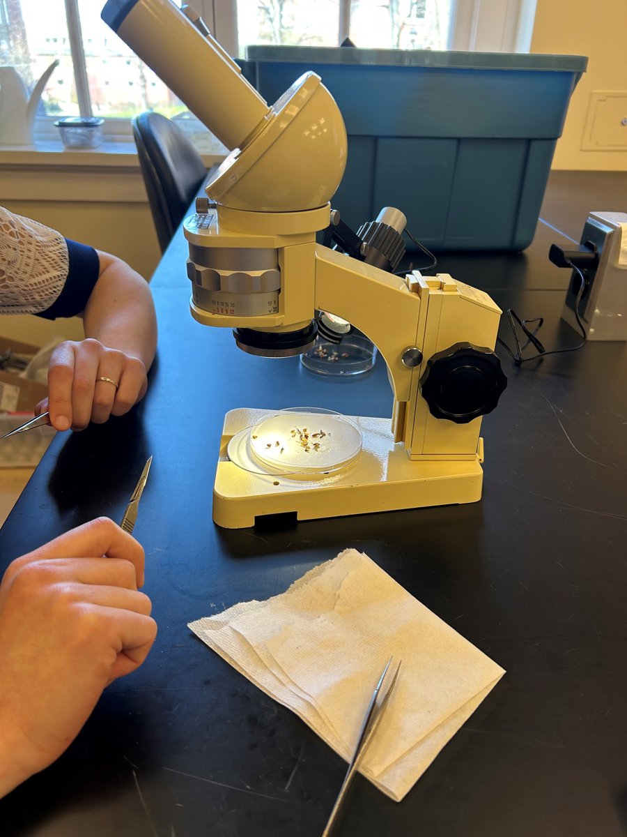 K.C. Irving Centre tweet media