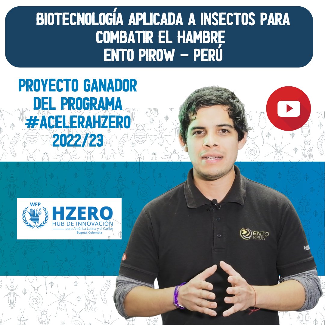 WFP_Colombia's tweet photo. 💡🦗🍲¿Combatir el hambre con insectos? Te presentamos el proyecto @EntoPiruw de Perú 🇵🇪 uno de los 10 proyectos ganadores de nuestro programa de innovación #AceleraHZero. 🧵 (1/3) 👇 https://t.co/ngVgae3RtO