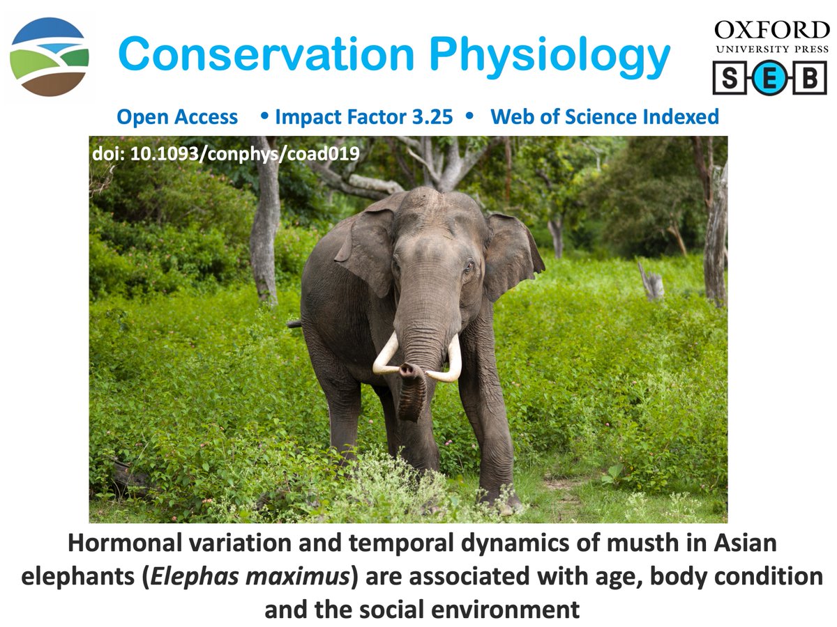 conphysjournal's tweet photo. New in #ConPhys!
Hormonal variation and temporal dynamics of musth in Asian elephants (Elephas maximus) are associated with age, body condition and the social environment
Read more here:
https://t.co/tWpPcvzLKq
#hormonalvariation #temporaldynamics #musth #elephants https://t.co/1aPtp7IOZE