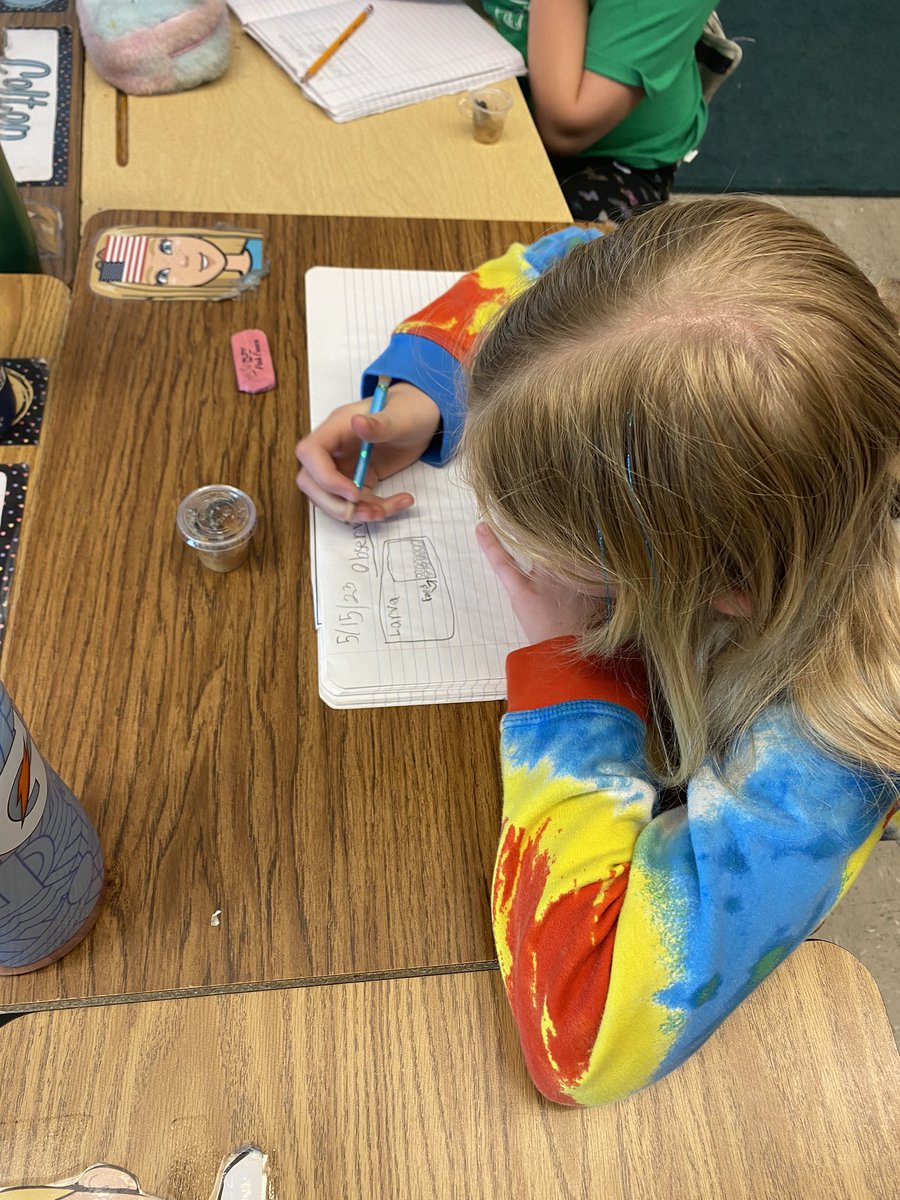 PSDSieverts's tweet photo. Major sciencing happening this morning🔍 It’s about to be chrysalis season and 3rd graders are recording their last few observations of their caterpillars before they start to transform🐛🦋 @PSD_EReichert @PSDGrasse https://t.co/6YKUobhrKU