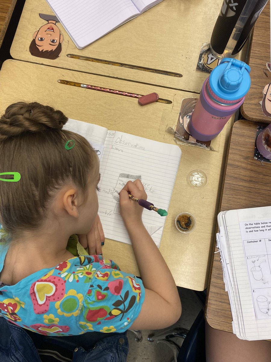 PSDSieverts's tweet photo. Major sciencing happening this morning🔍 It’s about to be chrysalis season and 3rd graders are recording their last few observations of their caterpillars before they start to transform🐛🦋 @PSD_EReichert @PSDGrasse https://t.co/6YKUobhrKU