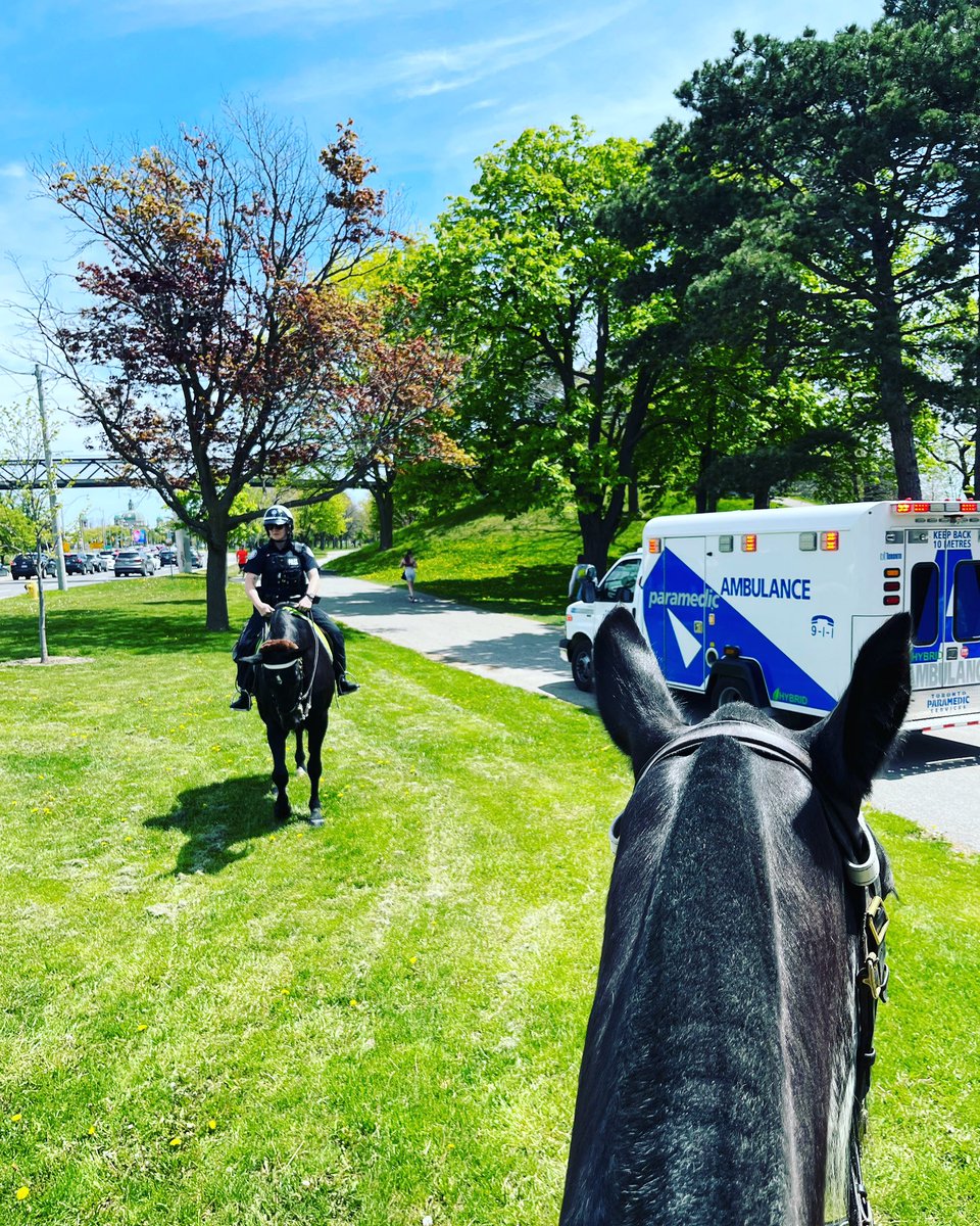 TPSMounted's tweet image. #PHSutherland &amp;amp; #PHSaunders helped out with a cyclist accident yesterday in #marilynbellpark just a friendly reminder the park, path and roadways are for all to share. Be careful, courteous, and safe, obey the traffic lights and signs and have fun! #policehorse #safecycling