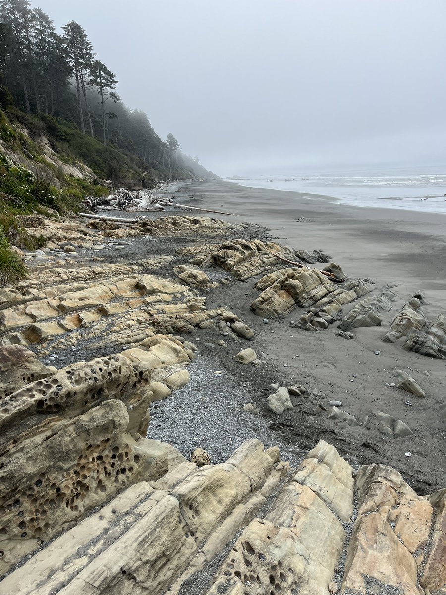 @intheolivegrov1 @obligatraveler @wandersmiles @sl2016_sl @LisaRivera2207 @LindaPeters64 @magee333 @FitLifeTravel @suziday123 @lizzie_hubbard2 @MadHattersNYC @RoadtripC @Roadstories The Breathtaking Shoreline is from @OlympicNP.😀 From the Mountains to the Pacific Ocean - The Olympic Peninsula #Rocks! And I’m Not Going Away - I’ll Still Be Following the #Top4Theme!👍 At the Same Time I Hope to Free Up Time to Grow @LiveaMemory Too! #Travel #Top4Rocks #Memory