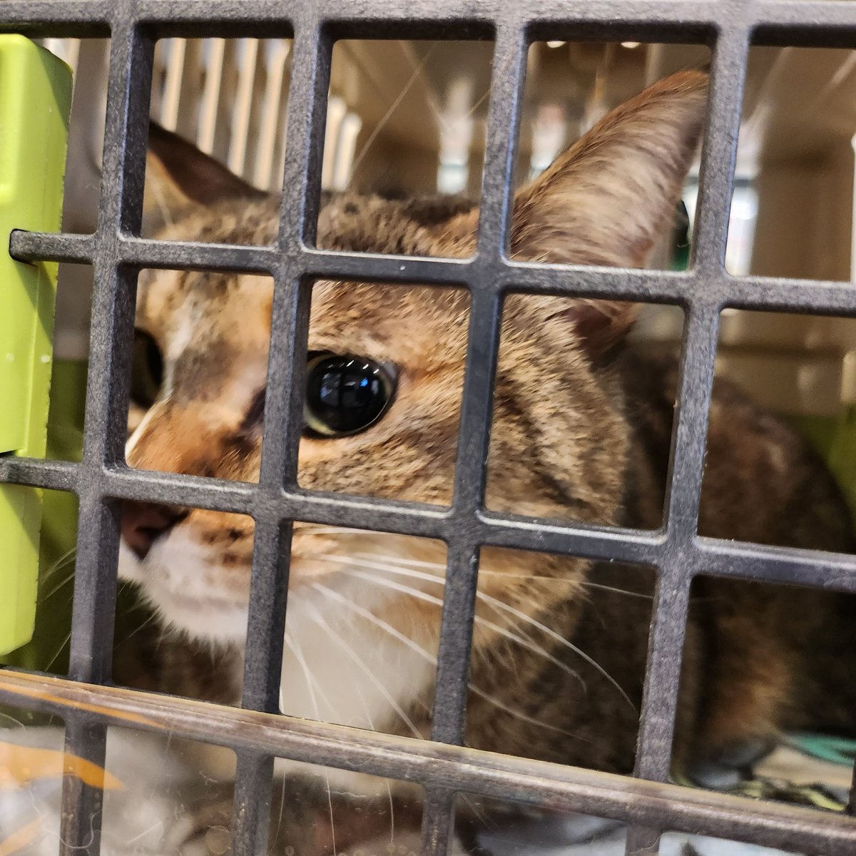 애잔하고 귀엽고 짠하고,,,, 🥲