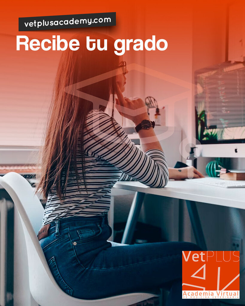 vetplusacademy's tweet photo. ¿Sabías que nuestros cursos están diseñados para ser aprobatorios?

Nuestras formaciones están diseñadas para ser evaluadas en cada módulo garantizando la adquisición de competencias para obtener la certificación.

Así que nada de pensar que es sólo una … https://t.co/kwLy02cJqP https://t.co/0F8UxNvqZC