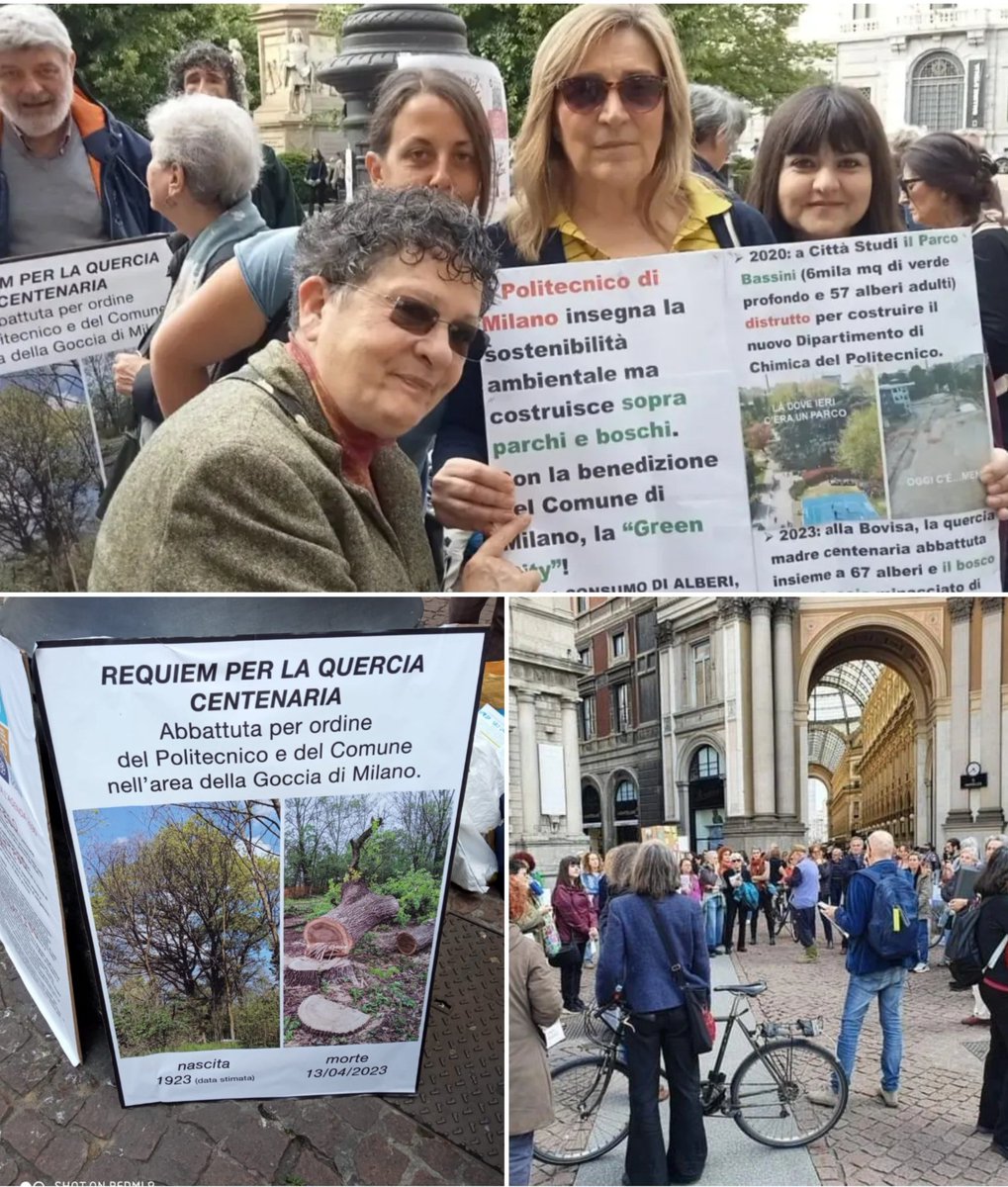Sabato eravamo 200 al Requiem per la quercia centenaria e i 67 alberi abbattuti nel bosco della Goccia a Bovisa per fare posto al nuovo campus del <a href="/polimi/">Politecnico di Milano</a>. Io ho ricordato il triste precedente della distruzione del Parco Bassini ad opera dello stesso Poli. <a href="/comitatogoccia/">Comitato la Goccia</a>