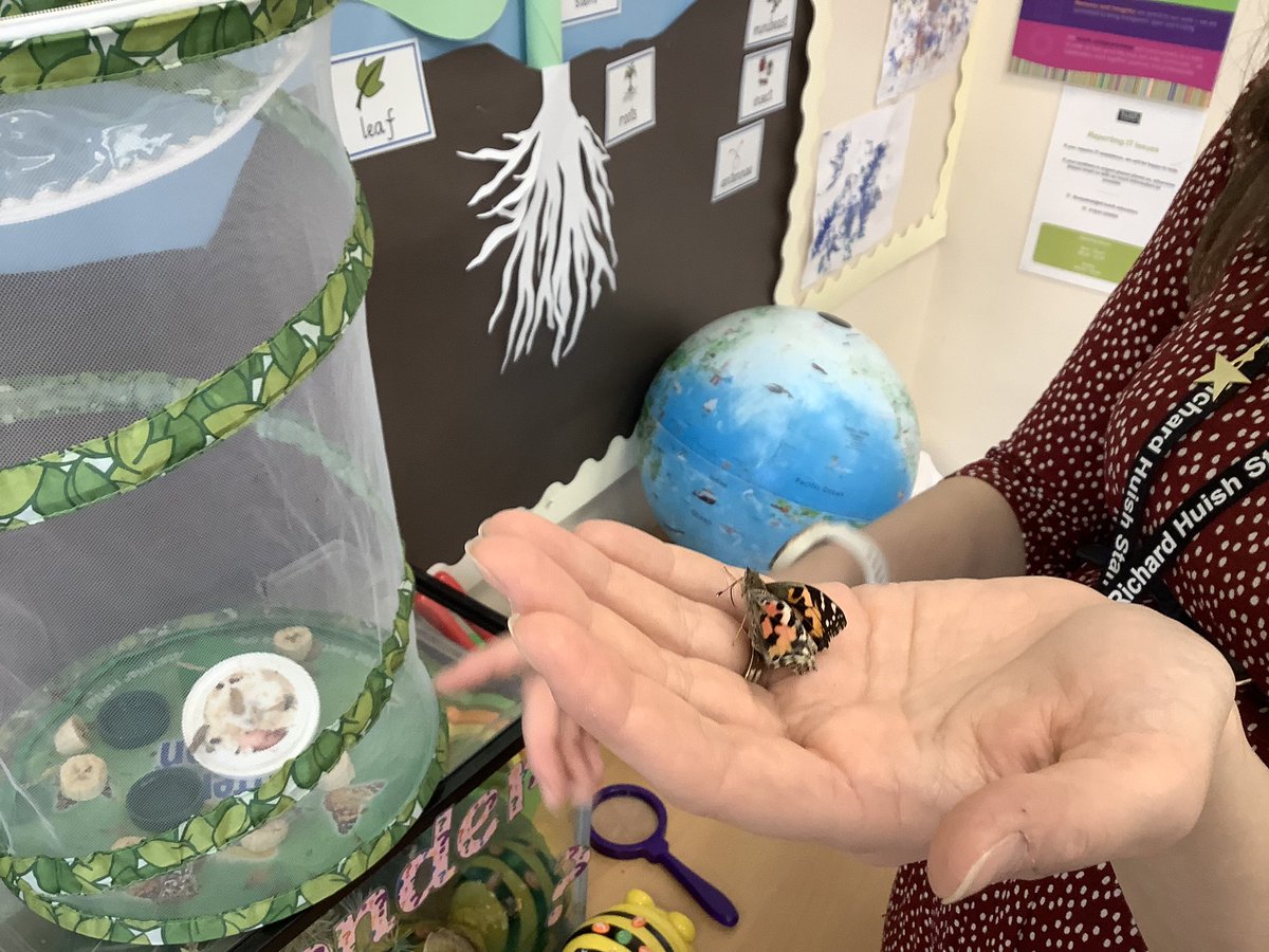 North Town Pippins tweet media