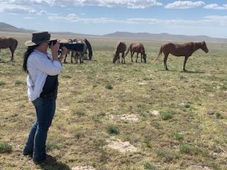 Friday I went out to the west desert in Utah in search of the Onaqui wild horse herd.  I love how quiet the desert is and spending time among the horses. #LifeatProofpoint #ProofpointCares #WellbeingDay
