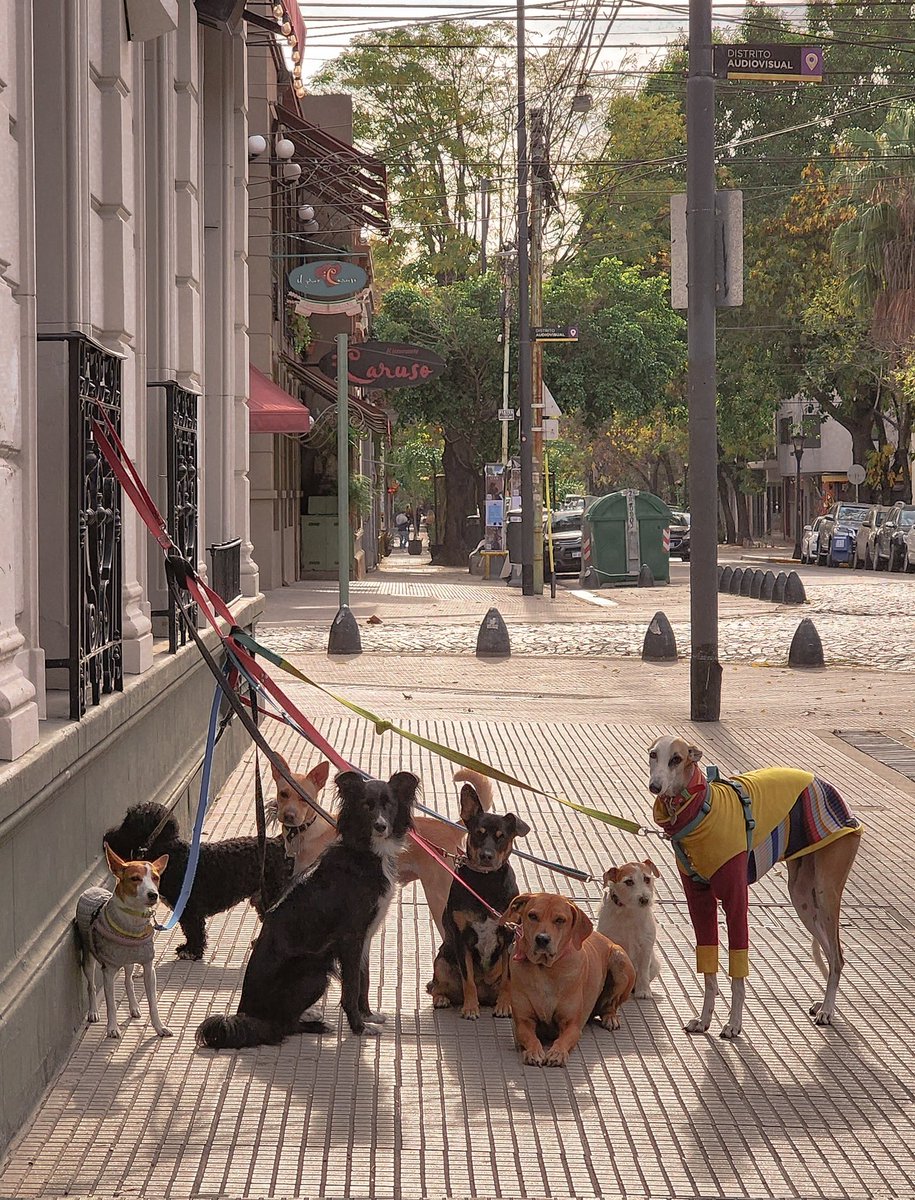 mdkro's tweet image. Mejoró mi lunes a la mañana.