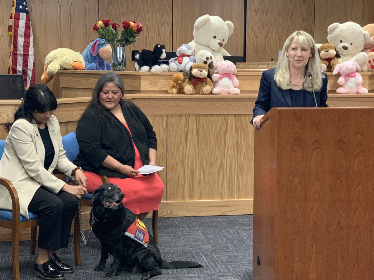 SJDCNEWMEXICO's tweet photo. Spring Adoption Day in the Second Judicial District Children's Court on May 12 saw 10 children find a forever family and home!  Read the Albuquerque Journal article here: https://t.co/RnwBoTaSvD https://t.co/MLZG8LWd3Y