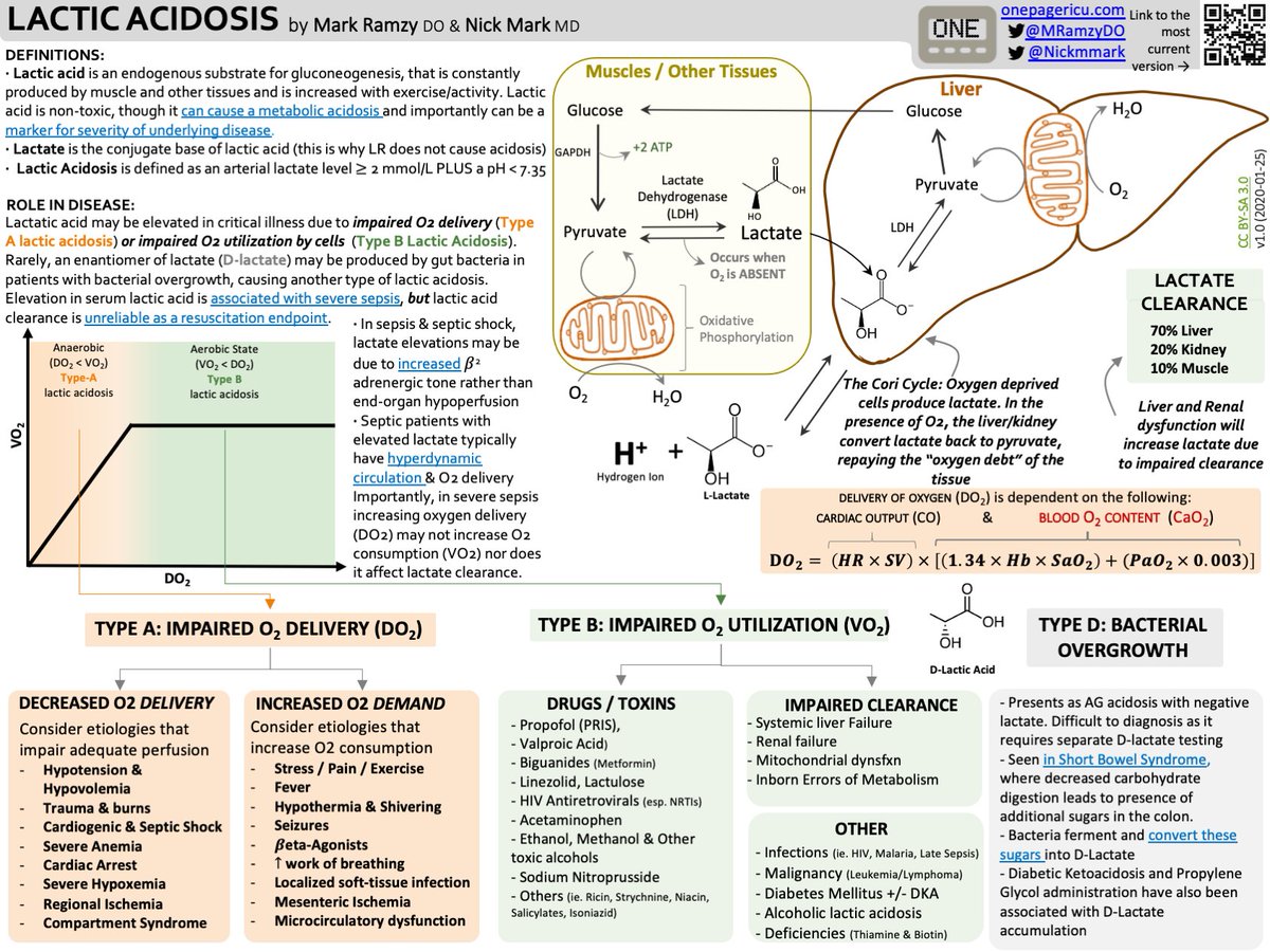 The ICU OnePager approach to lactic acidosis.
Type🅰️- Impaired O2 delivery/increased demand
Type🅱️- Impaired O2 utilization
Type🇩- Bacterial overgrowth
♻️Lactate clearance &amp; accumulation

onepagericu.com/lactic-acidosis