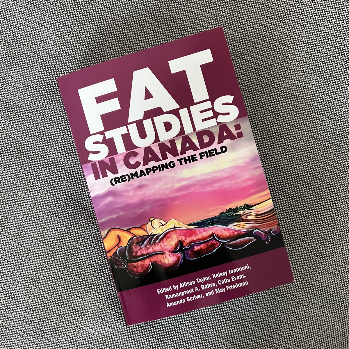 The edited collection Fat Studies in Canada: (Re)Mapping the Field just dropped, and includes my research team’s chapter Fragments on Fatness: Moments from a Digital Storytelling Archive on Trans Experiences of Weight Stigma.