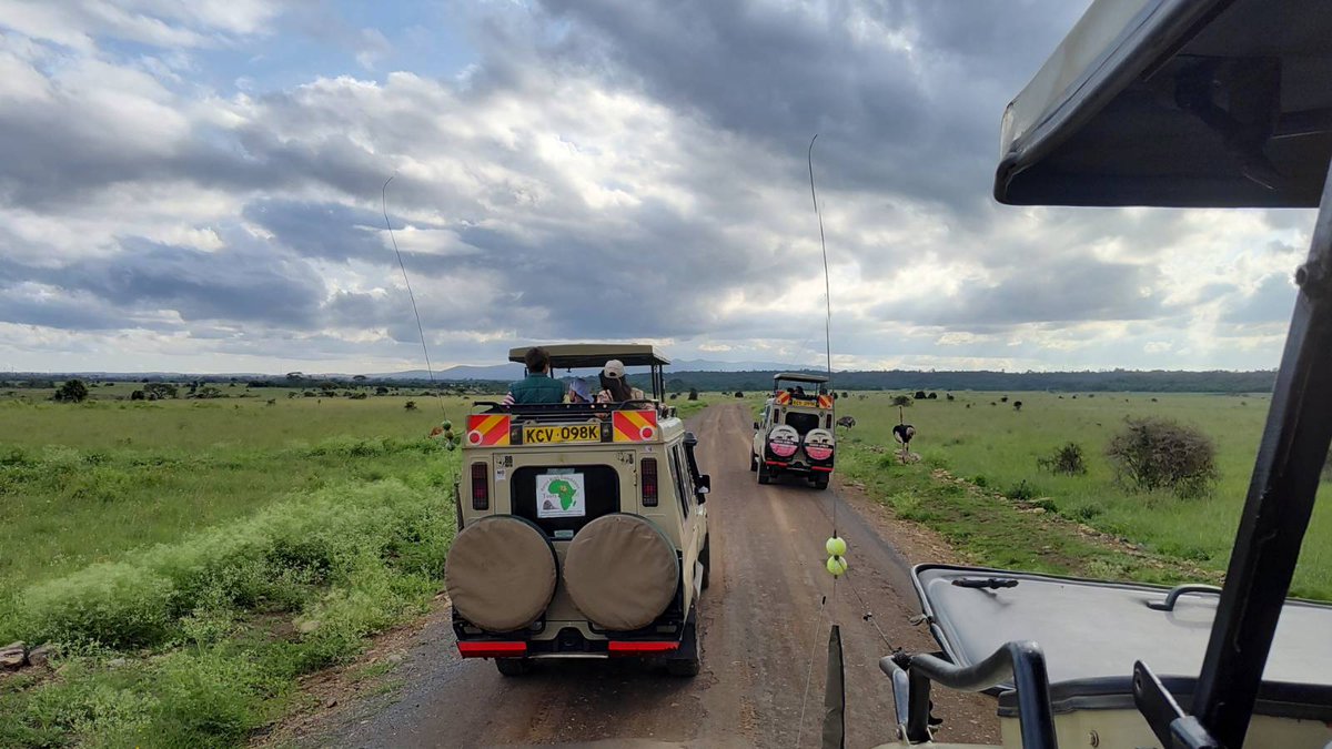 Philani's tweet photo. Once upon a Safari! https://t.co/uX8voZJENO
