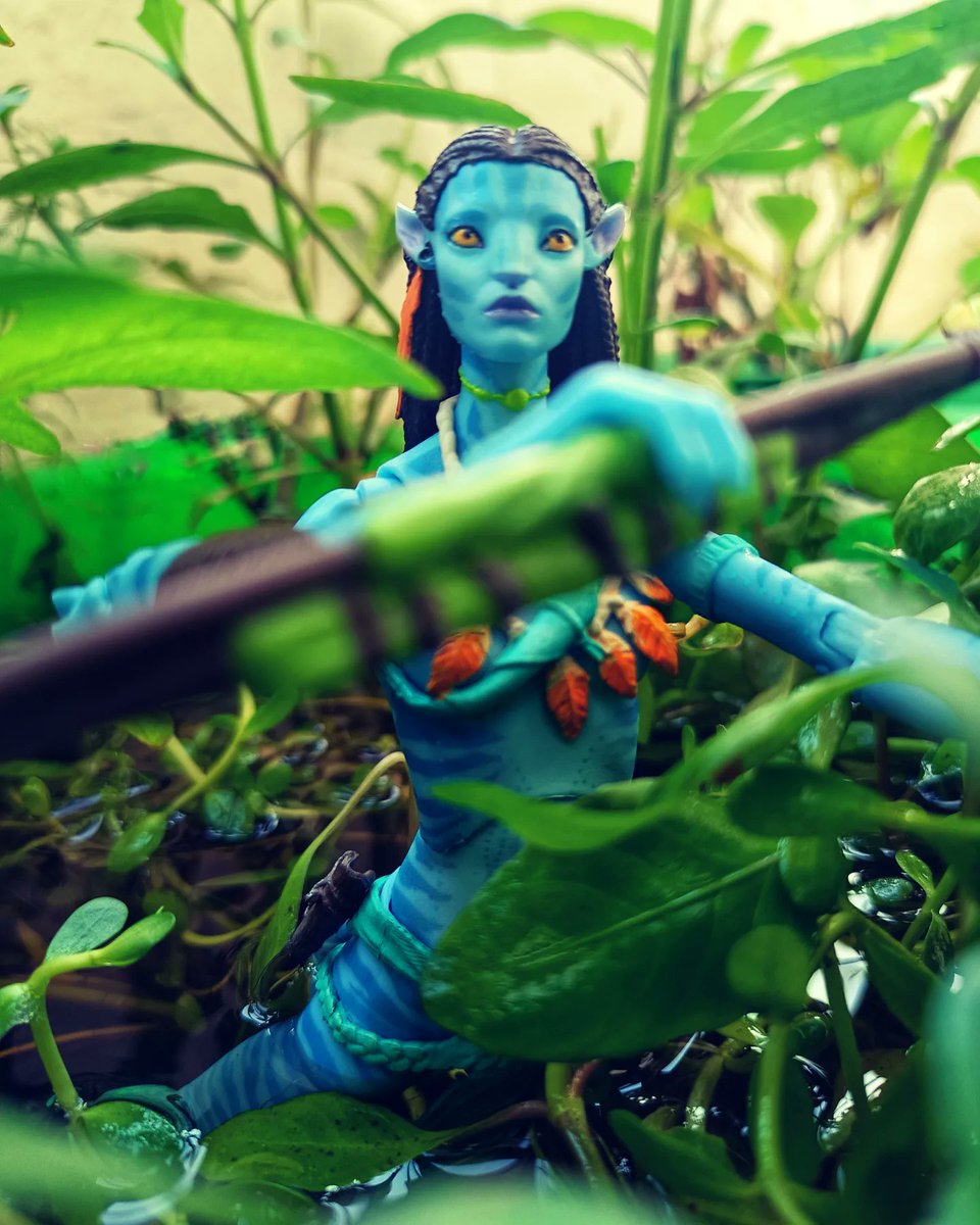 Neil74785405's tweet photo. Toy photography, neytiri. #toyphotography #photography #toys #avatar https://t.co/cRjr9HcoK5