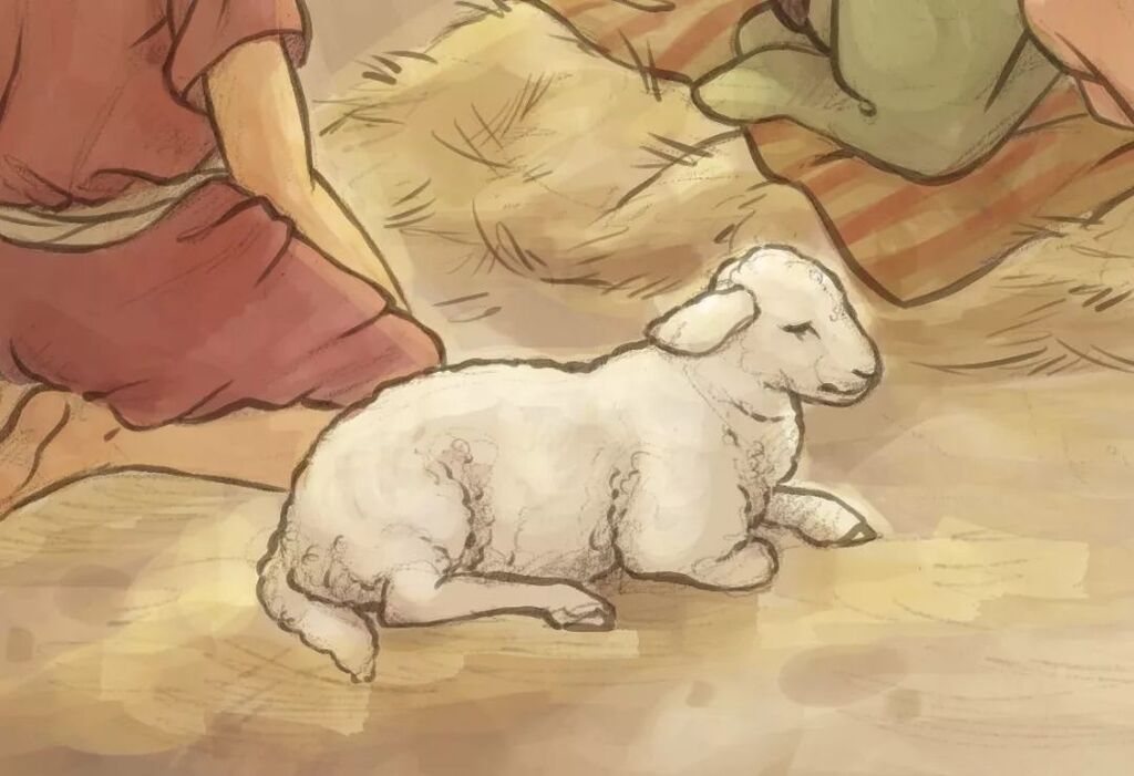 emilypritchart's tweet photo. I'm so pleased with how my next Christmas book is turning out! I'm using a bit more of a watercolor and ink style, though it's all digital, and remembering how much I love inking.
.
#picturebook #childrensbookart #digitalartwork #christmasbook #lamb #pai… https://t.co/MYAZuVdqYf https://t.co/lBMN4Mpyc0