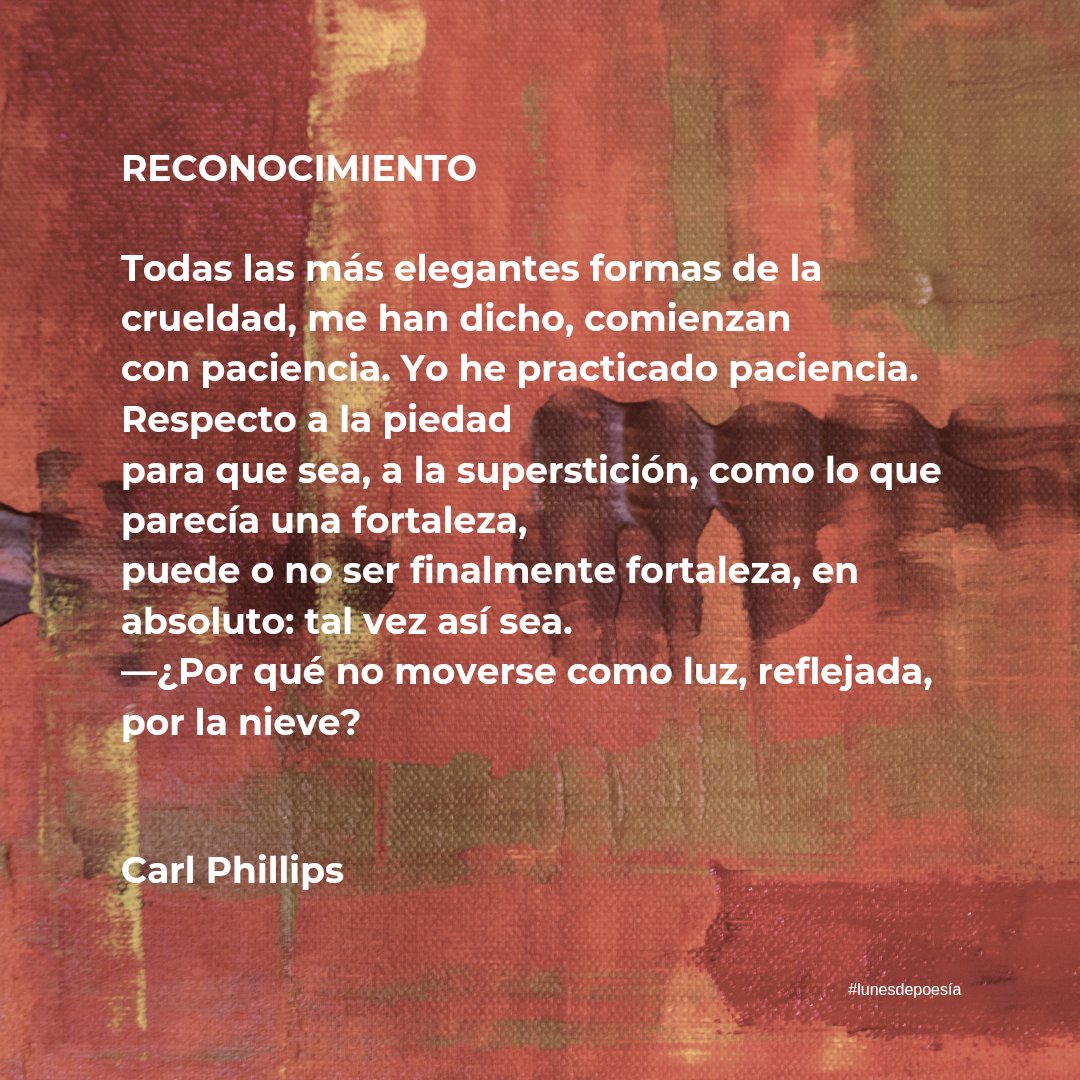znbustos's tweet photo. Lunes de poesía

Reconocimiento de Carl Phillips

#lunesdepoesía #carlphillips #poetaestadounidense #escritoresnorteamericanos #poesía #poetry https://t.co/LhwdghUVBh