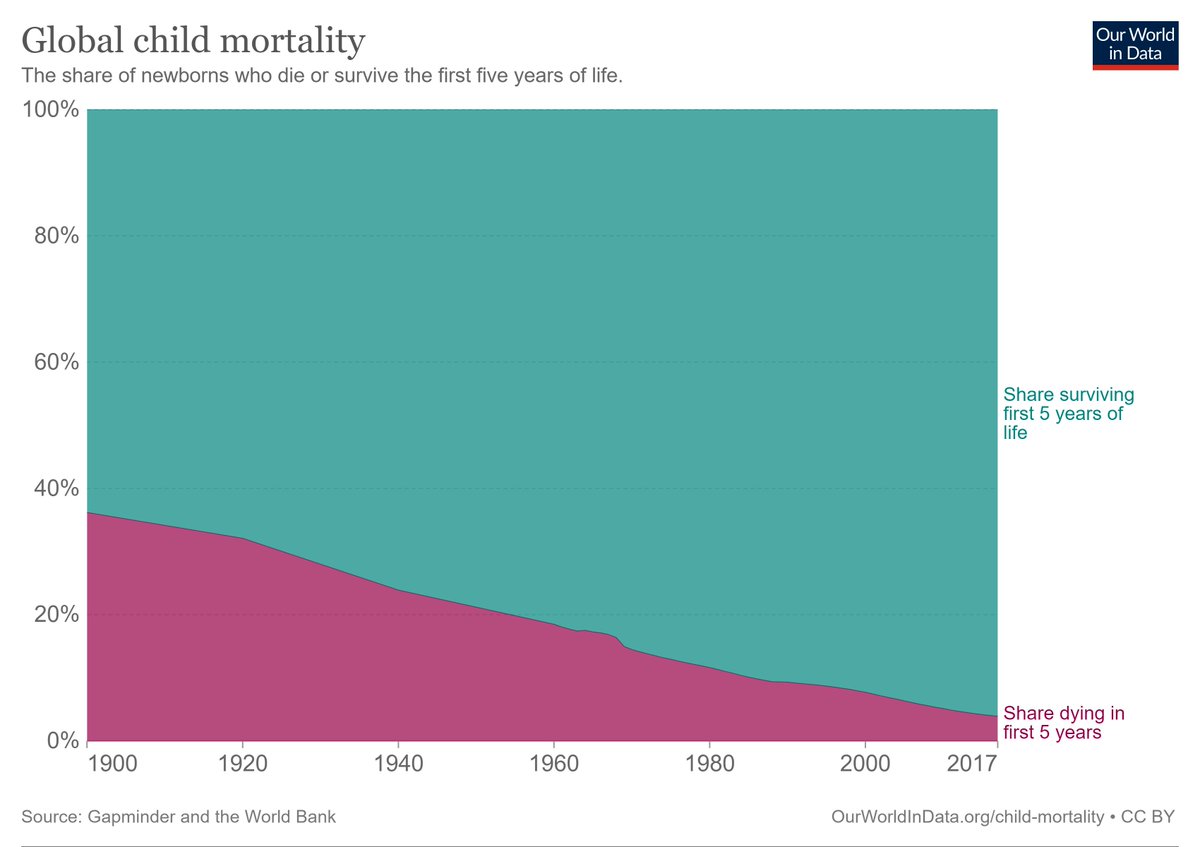 Timothy Whitton tweet media