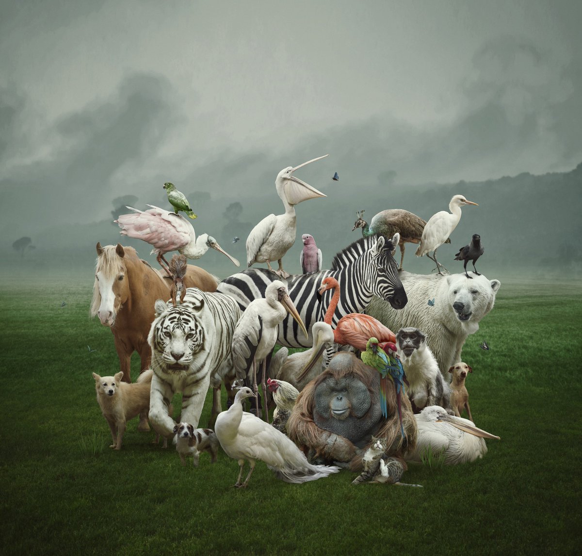 Studying artificial intelligence (AI), but in the way the biologists of yore did with the exotic species. This is what TU/e researchers Pei-Ying Lin and Janet Yi-Ching Huang will do with the 10,000- euro Mingler Scholarship they were awarded with. tue.nl/en/news-and-ev…