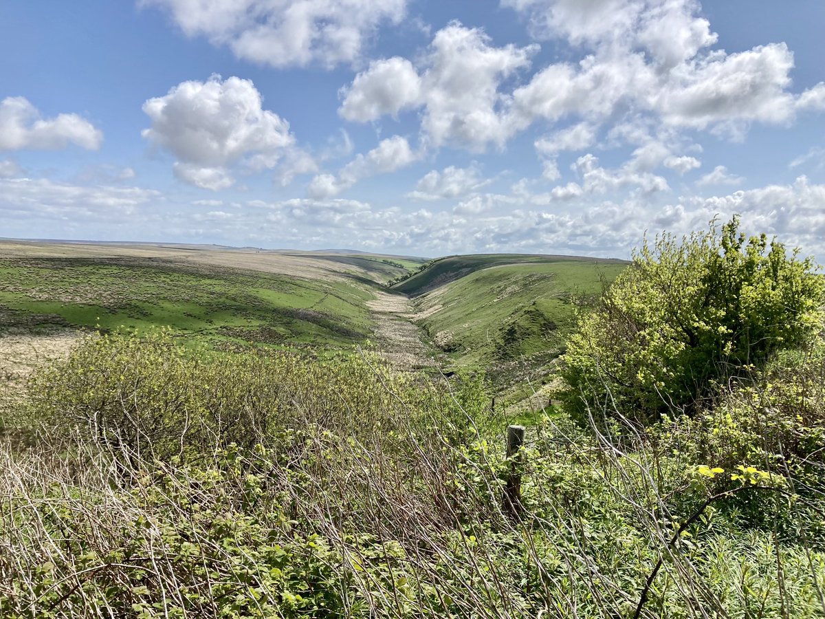 Exmoor NPCs tweet media