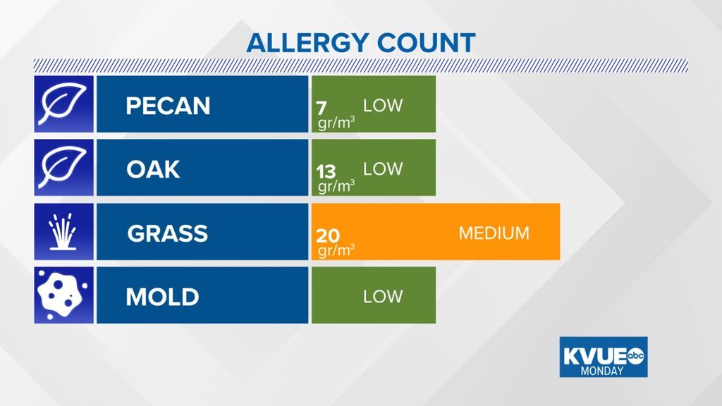 Austin Allergies tweet media