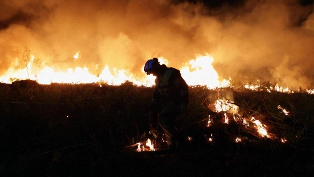 France3Presse's tweet photo. #TempsFort #S23 @France3tv

#documentaire

📍Les gardiens de la forêt des Landes
📅 Lundi 5 juin à 23h

"Ce film suit le combat de ceux qui ont dédié leur vie à la préservation de la forêt de Landes et de son histoire" https://t.co/vZU3nXVtAl