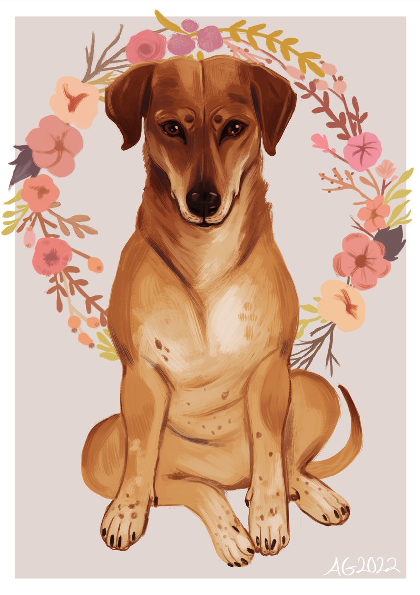 thedemons's tweet photo. some pet portraits i've done for my grandparents! these were my doggies growing up (^: https://t.co/efqct9Kl1z