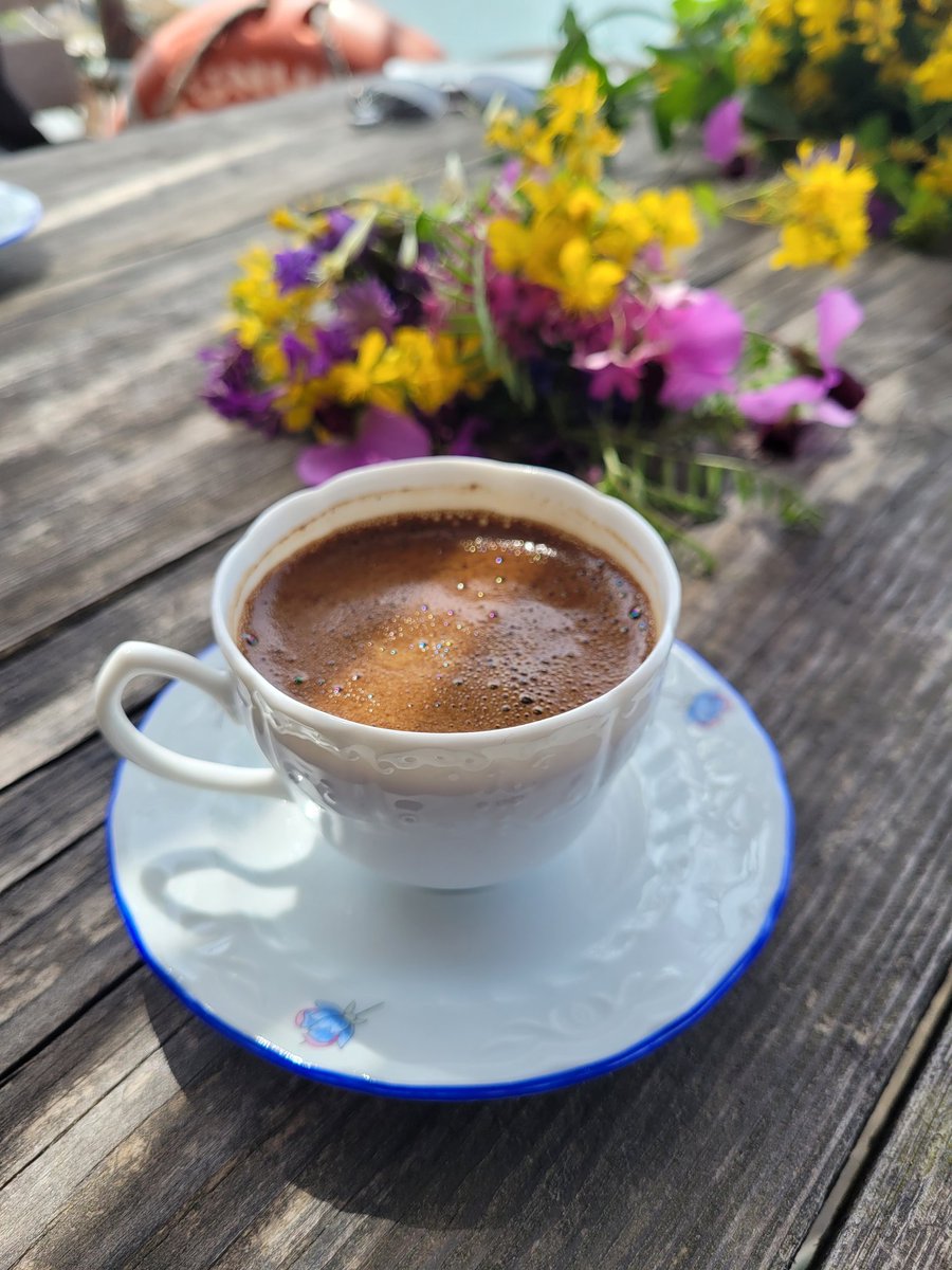 Ayşegül Kurt tweet media